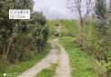 IMG_20240411_144152