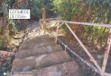 IMG_20241220_160406_1