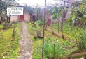 IMG_20241230_121608