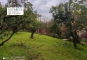 IMG_20241230_121919