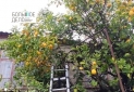 IMG_20241230_121935