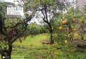 IMG_20241230_121946