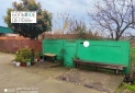 IMG_20241230_123239