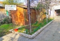 IMG_20250213_105246