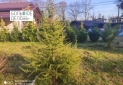 IMG_20250312_174240