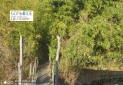 IMG_20250312_174441