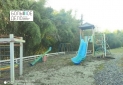 IMG_20250312_174801