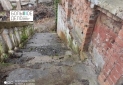 IMG_20250415_124608