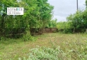 Изображение WhatsApp 2025-05-23 в 18.23.00_bb2f0408