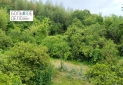 Изображение WhatsApp 2025-05-23 в 18.21.59_17a5b24b