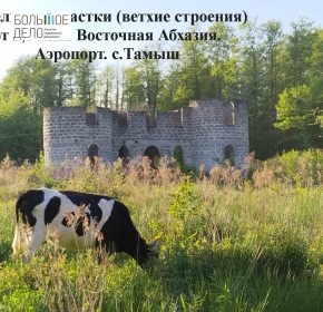 Земельные участки (ветх.строение) Восточная Абхазия