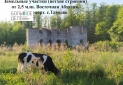 Изображение WhatsApp 2025-05-23 в 19.13.33_60d72ae9