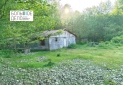 Изображение WhatsApp 2025-06-24 в 10.38.36_85c11a84
