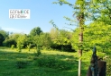Изображение WhatsApp 2025-06-24 в 10.38.49_ad65abbd