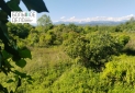 Изображение WhatsApp 2025-05-27 в 16.19.11_2bd4a88a
