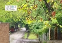 Изображение WhatsApp 2025-05-23 в 18.36.03_03a65caa