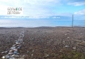 IMG_20221220_133021