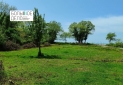 Изображение WhatsApp 2025-05-23 в 18.55.12_d80f6afb
