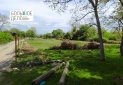 Изображение WhatsApp 2025-05-23 в 18.55.13_b5d5d748