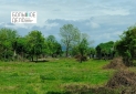 Изображение WhatsApp 2025-05-23 в 18.55.14_46b267ab