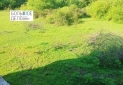 Изображение WhatsApp 2025-05-19 в 14.28.07_96235d45