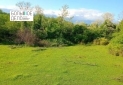 Изображение WhatsApp 2025-05-19 в 14.28.10_4f59ced0