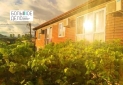 Изображение WhatsApp 2025-07-01 в 17.16.50_1b1fe098