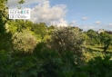 Изображение WhatsApp 2025-07-01 в 17.16.52_7a3fde82