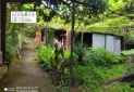 Изображение WhatsApp 2025-07-01 в 17.35.48_4c34d963