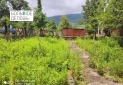 Изображение WhatsApp 2025-07-29 в 11.51.04_c417f172