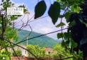 Изображение WhatsApp 2025-07-29 в 11.51.05_688ac1f1