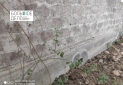 Изображение WhatsApp 2025-07-29 в 11.51.08_e9d2fa96