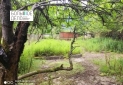 Изображение WhatsApp 2025-07-29 в 11.51.13_a3638c9d
