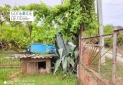 IMG_20250806_171106