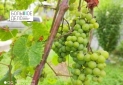IMG_20250806_171551