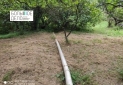 IMG_20250806_172209