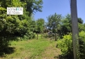 IMG_20250708_140459
