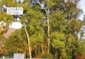 IMG_20240213_175212
