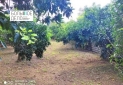 IMG_20250825_143303