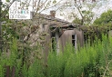 IMG_20250825_161805