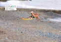 IMG_20250825_164609