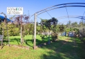 IMG_20250904_165408