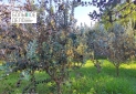 IMG_20250904_170252