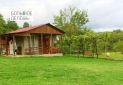 Изображение WhatsApp 2025-09-04 в 15.40.09_46a0bccf