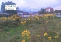 Изображение WhatsApp 2025-10-28 в 16.54.11_5edfe7da