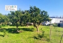 Изображение WhatsApp 2025-11-12 в 12.20.07_3f8165aa