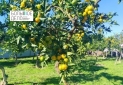 Изображение WhatsApp 2025-11-12 в 12.20.07_5c4c2f48