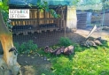 Изображение WhatsApp 2025-11-12 в 12.20.08_01d4ebf7