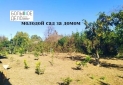 Изображение WhatsApp 2025-11-12 в 12.20.09_200e813a