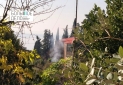 Изображение WhatsApp 2025-12-02 в 12.42.55_2b1e670b
